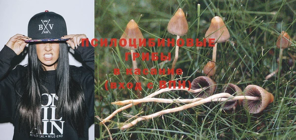 дживик Богданович