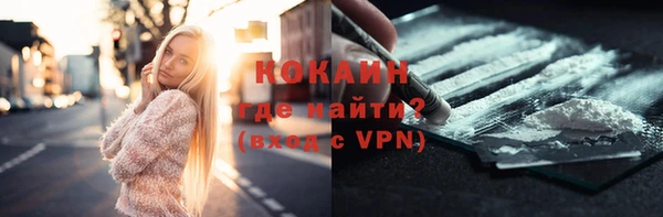 дживик Богданович